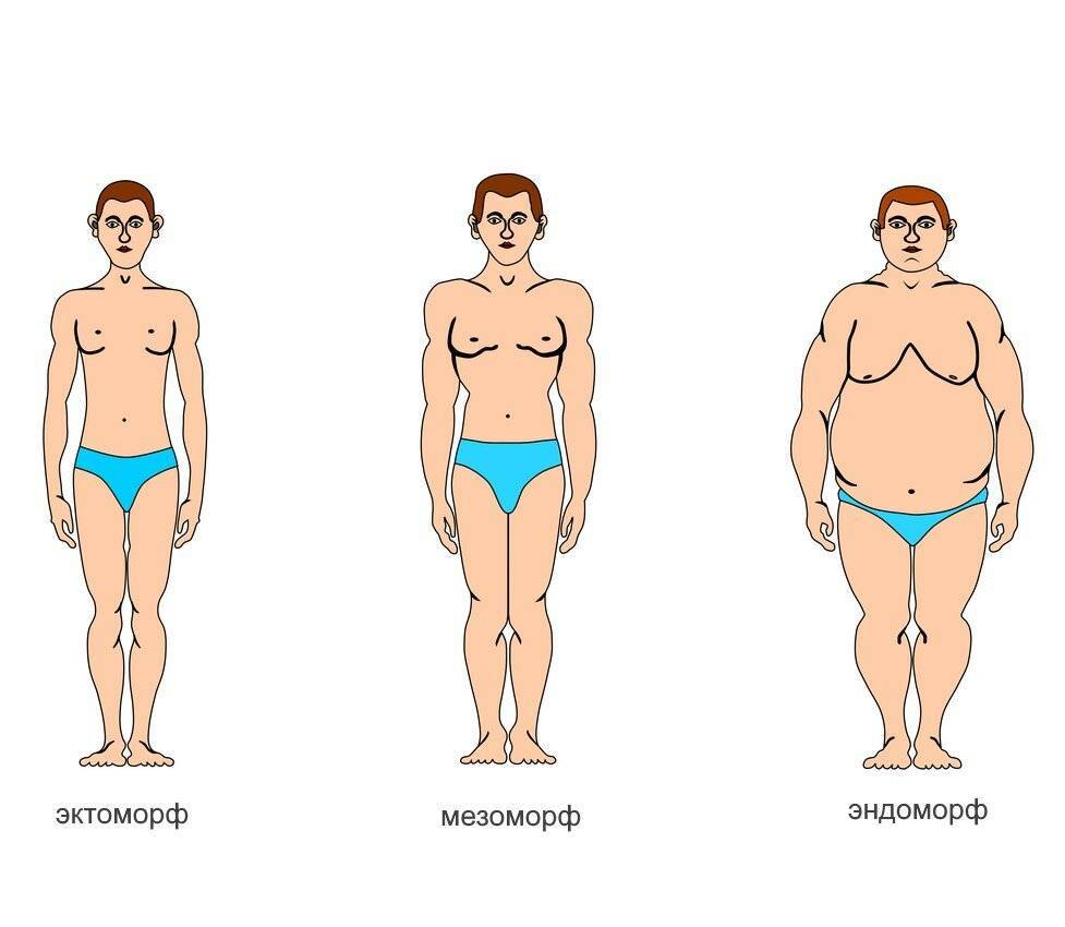 Тест на тип телосложения для подростков. типы телосложения у женщин: варианты идеала