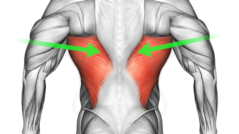 Как накачать широчайшие мышцы спины в домашних условиях быстро