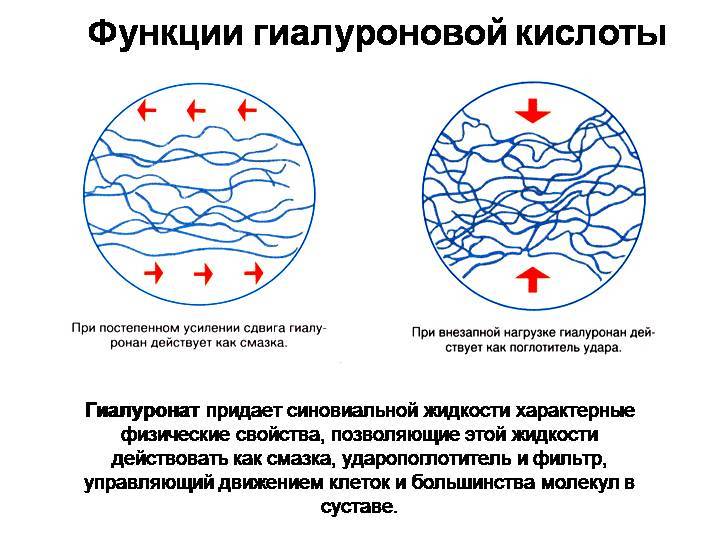 Что такое гиалуроновая кислота и как она влияет на волосы