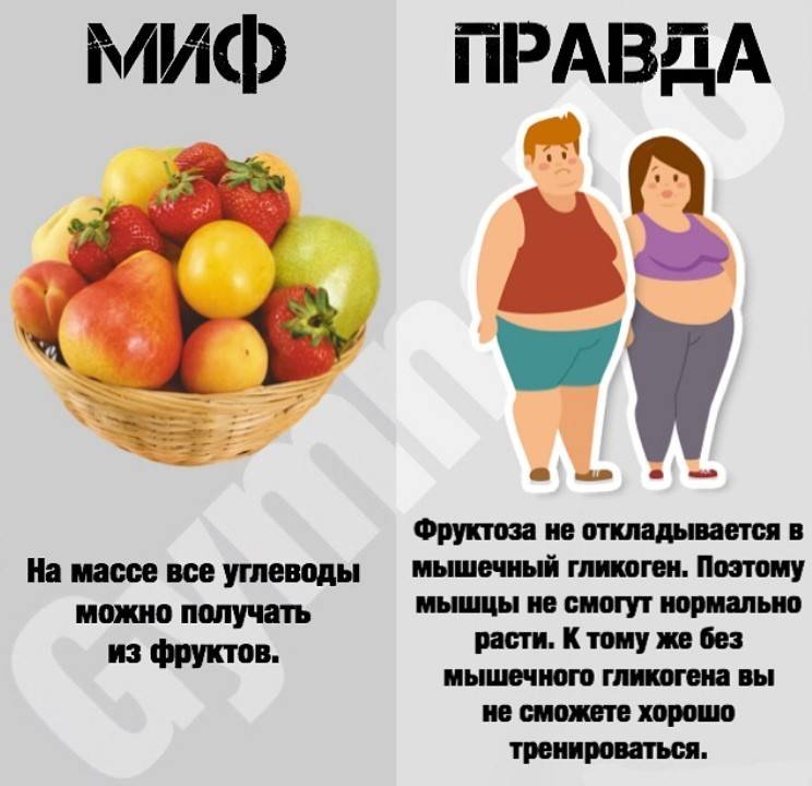 Правильное питание: 10 главных мифов о здоровом образе жизни | vogue russia