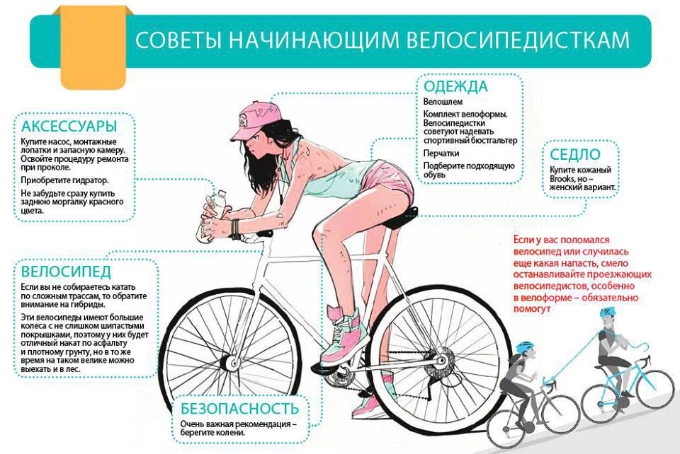 Езда на велосипеде какие мышцы задействованы фото