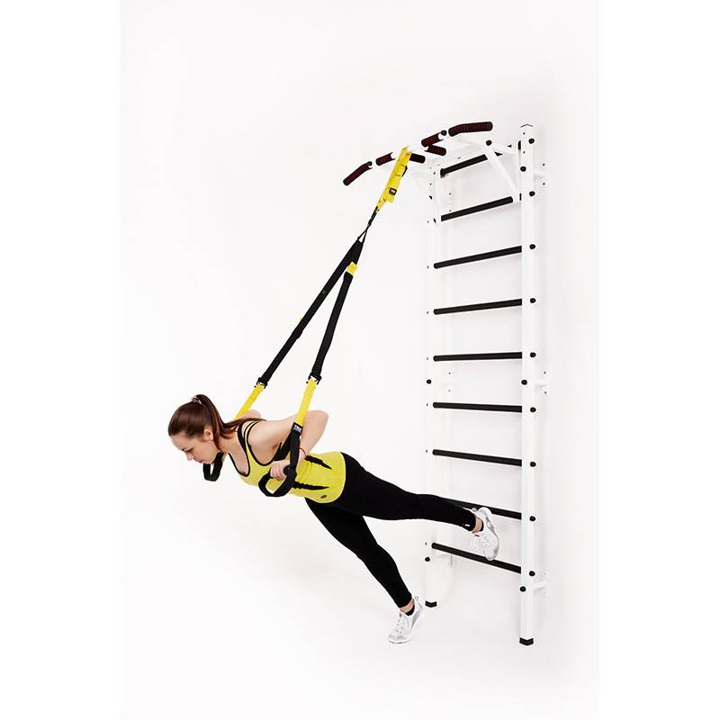 Упражнения с петлями trx для тренировки мышц спины в домашних условиях