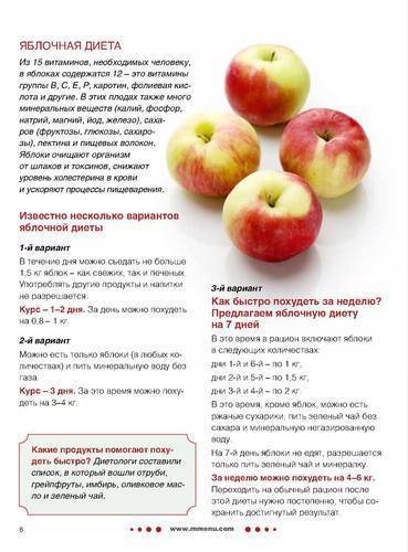 Яблочная диета- все нюансы похудения на яблоках