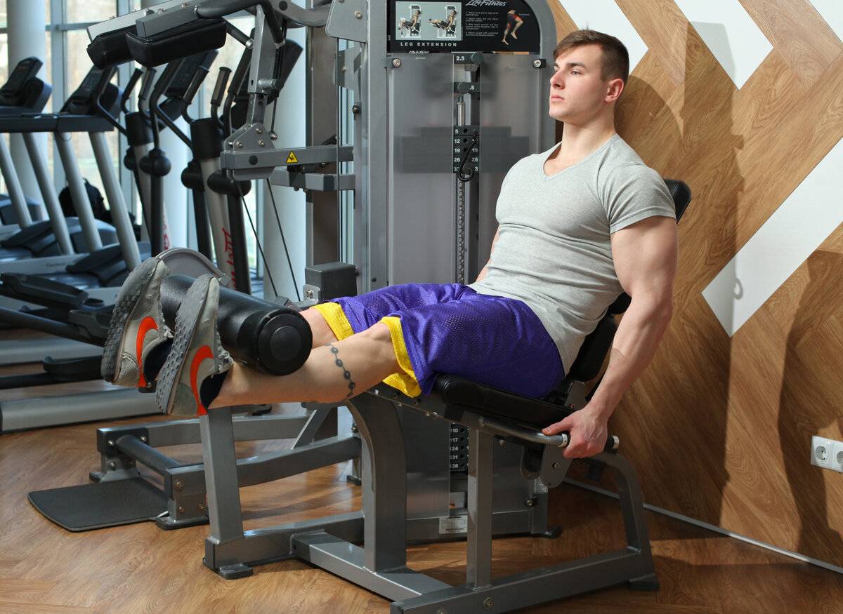 Лучшие упражнения на мышцы ног — тренировка в зале