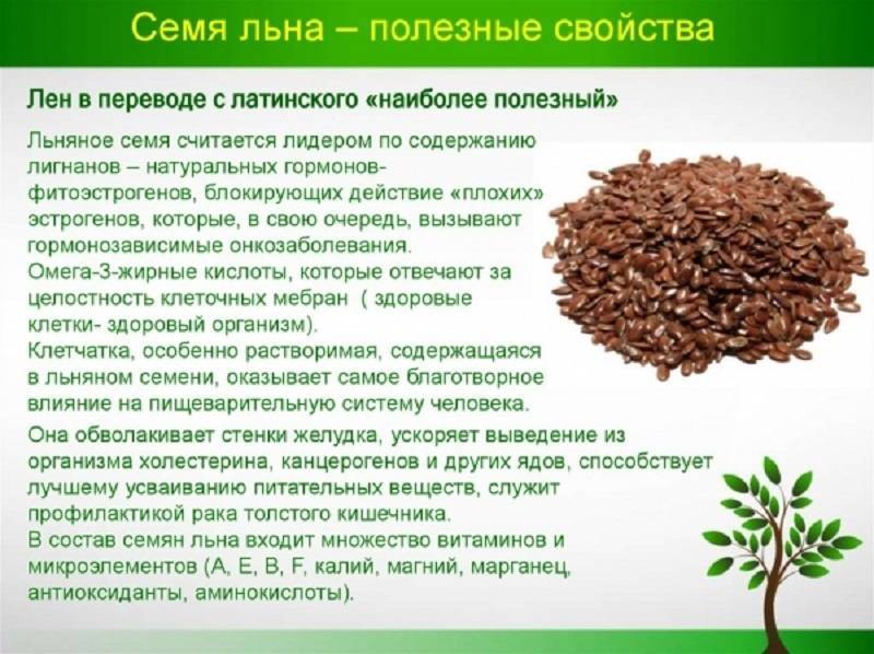 Льняное семя: польза и вред для организма | food and health