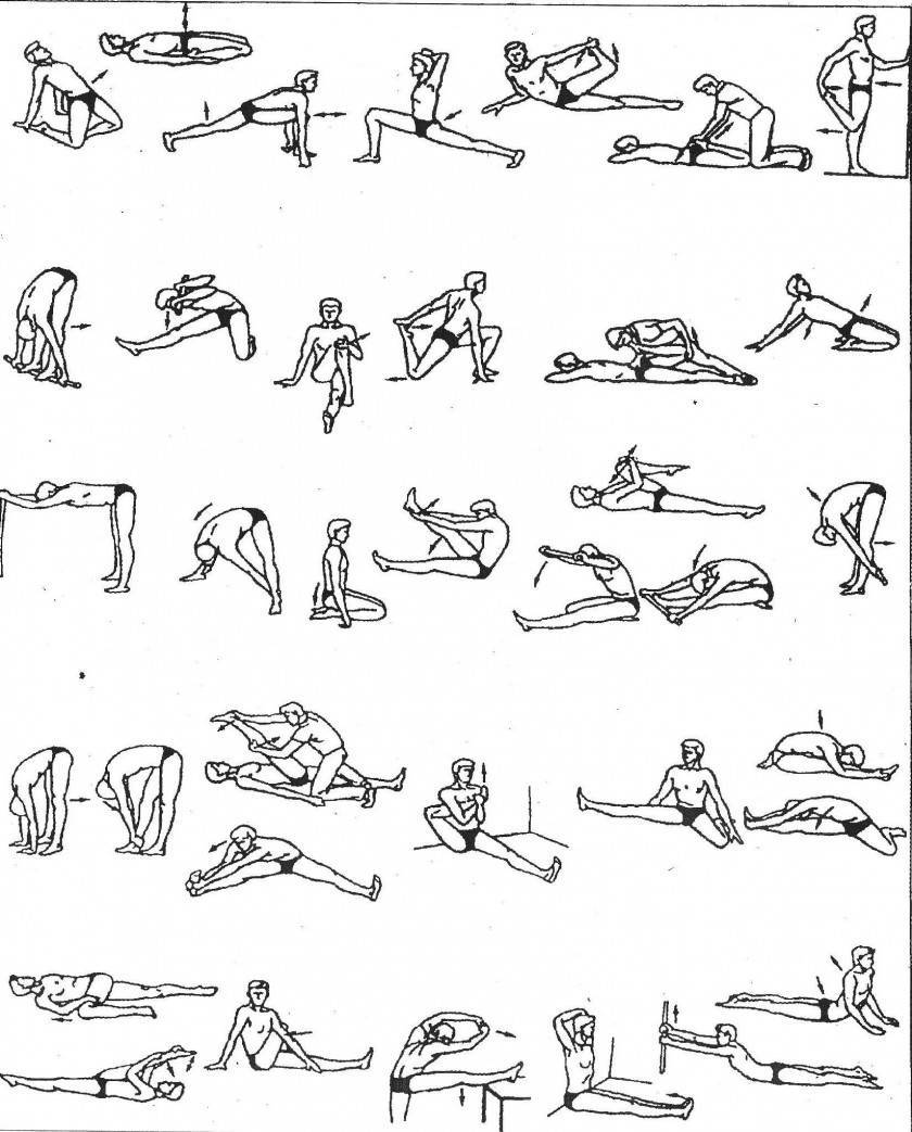Стретчинг упражнения для начинающих: программа тренировок