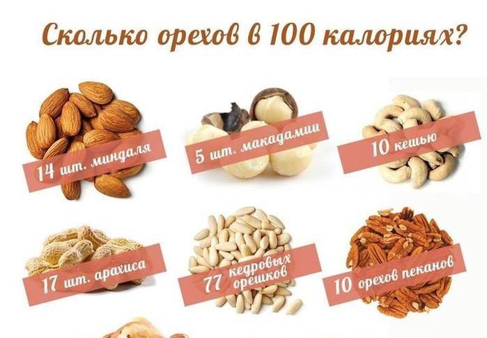 Сколько орехов можно съедать в день: какие полезны при похудении и лучше для диеты, а также фото порции в штуках с калорийностью