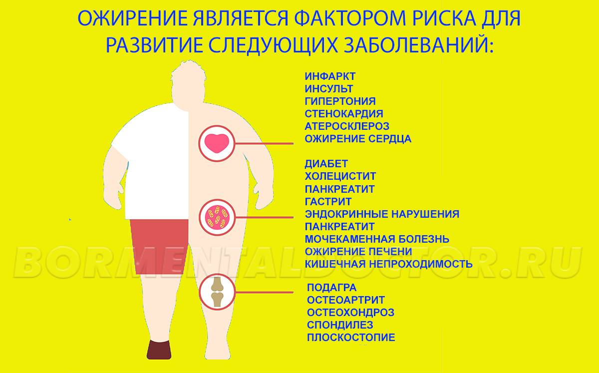 Карта жира. россия страдает от лишнего веса