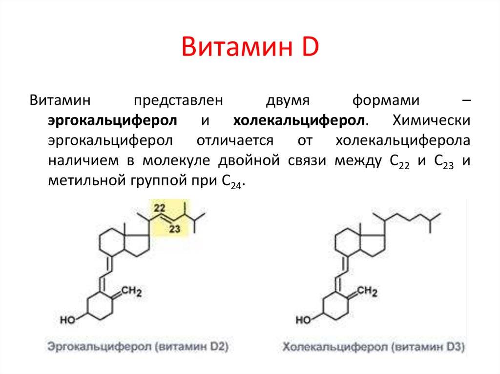 Витамин д2 и д3 — в чем разница? — сравнение аналогов