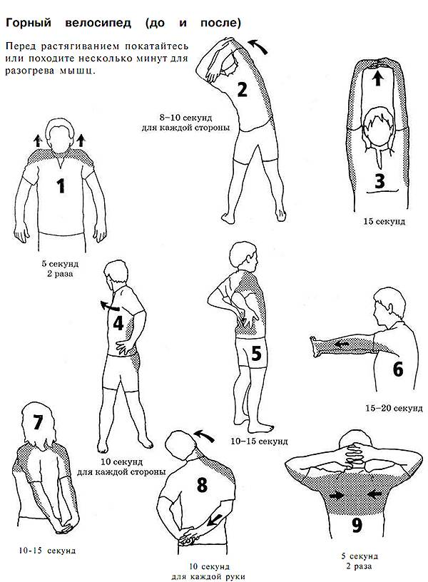 Топ-16 лучших упражнений на растяжку рук и плеч (фото)