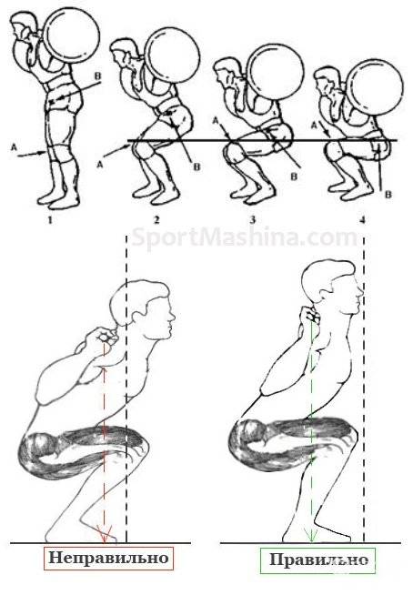 Приседания со штангой на плечах. универсальное упражнение, которое круто растит мышцы ног!