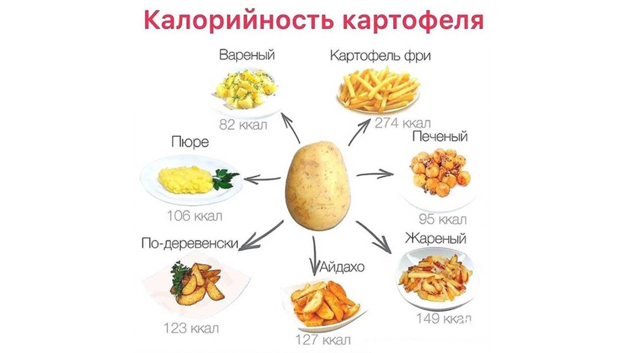 Калорийность картофеля сырого, вареного, жареного, тушеного, фри