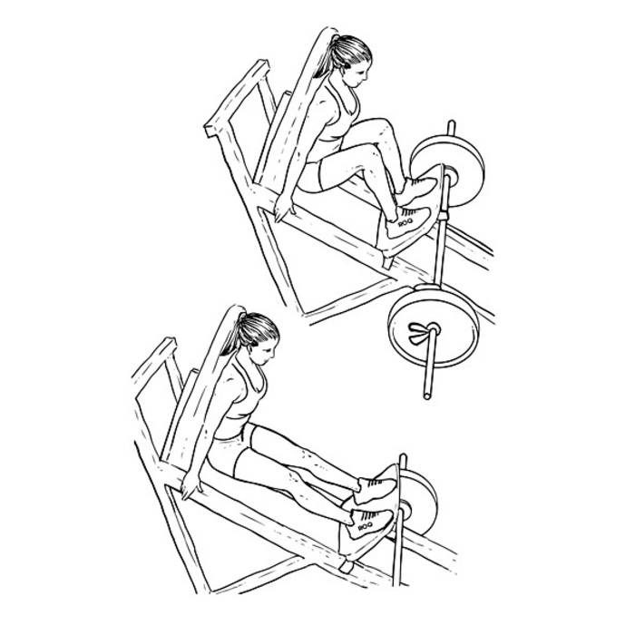Жим ногами сидя в тренажере: техника выполнения горизонтального жима ногами