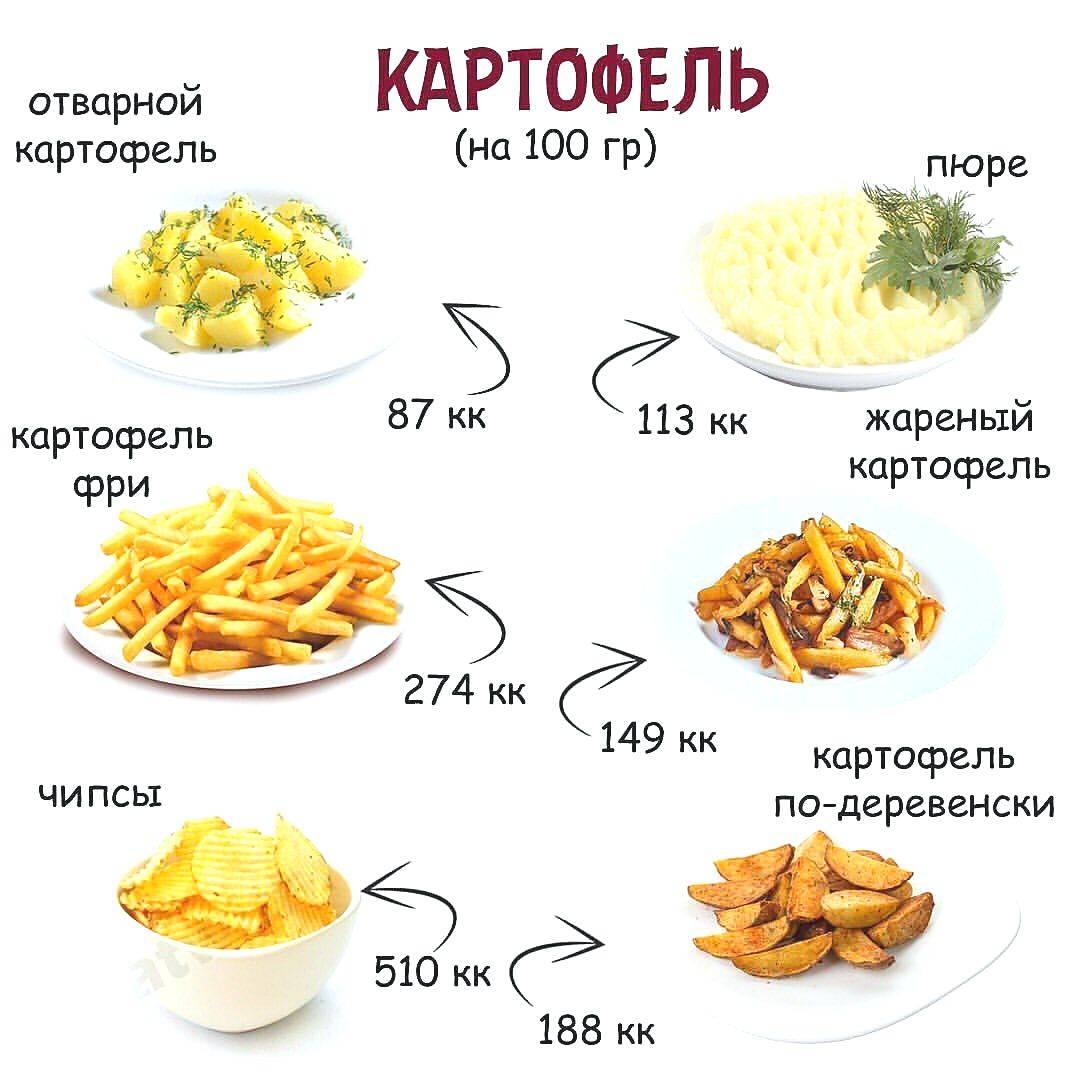 Отварной картофель калории в 100 гр — калорийность картошки вареной на воде