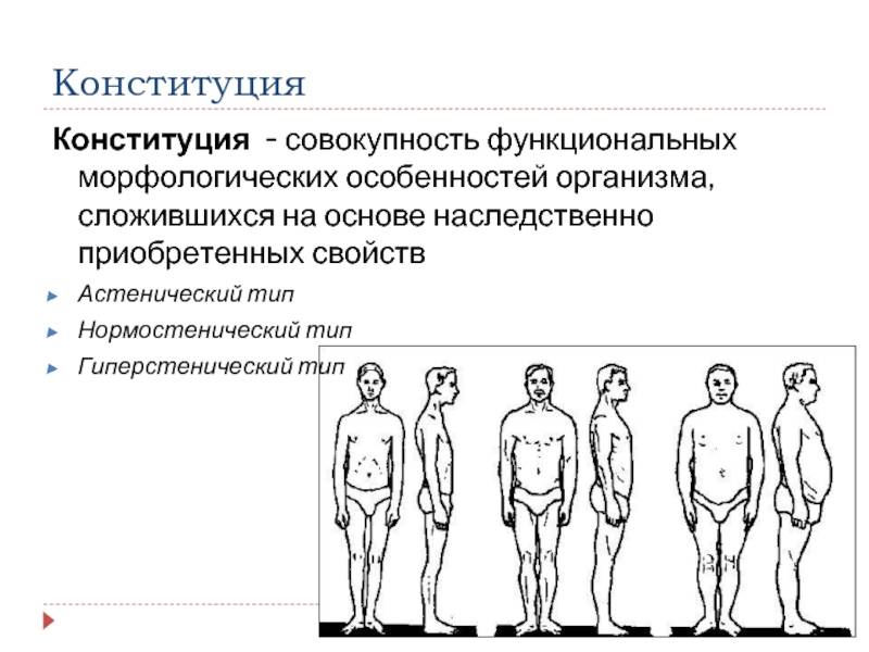 Как точно определить тип телосложения мужчин и что это дает?