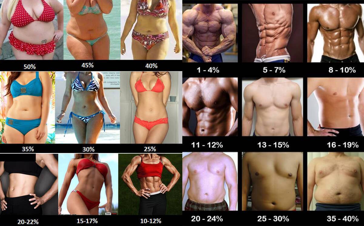 Объем жира и масса тела при оценке фигуры мужчины и женщины