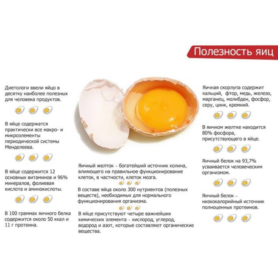 Калорийность вареного и сырого яйца - 1 шт (таблица)