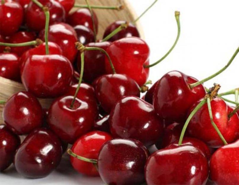 Польза вишни для организма: ценные свойства ягод, листьев и косточек - red fox day