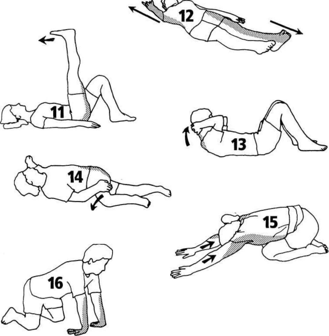 Зарядка в офисе: 6 упражнений на рабочем месте для разминки и растяжки мышц шеи, верхней и нижней части спины, ног и сгибателей бедра