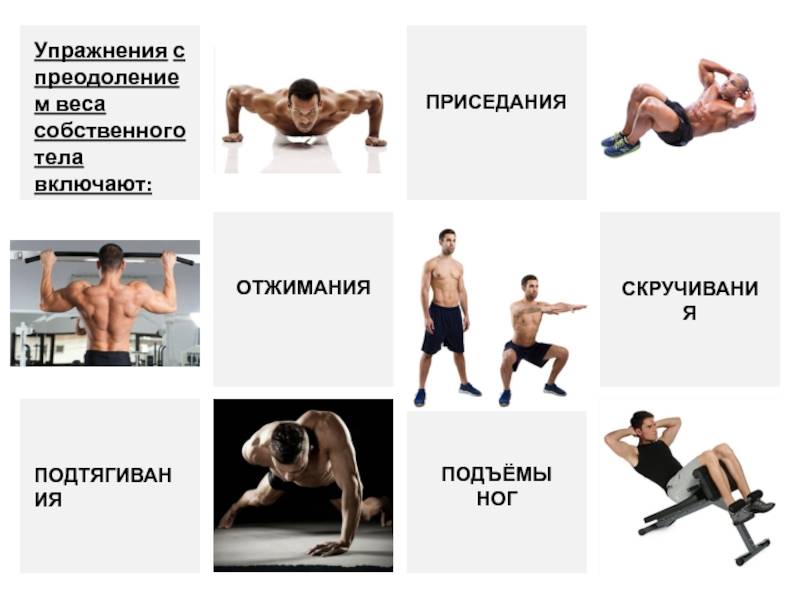 Упражнения с собственным весом на все группы мышц для мужчин