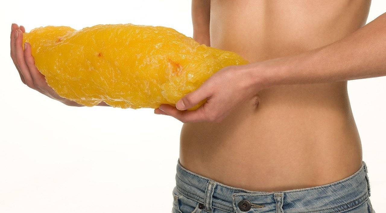 Виды жира в теле: висцеральный жир, подкожный, бурый, белый