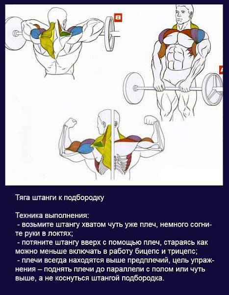 Тяга штанги к подбородку: техника, какие мышцы работают
