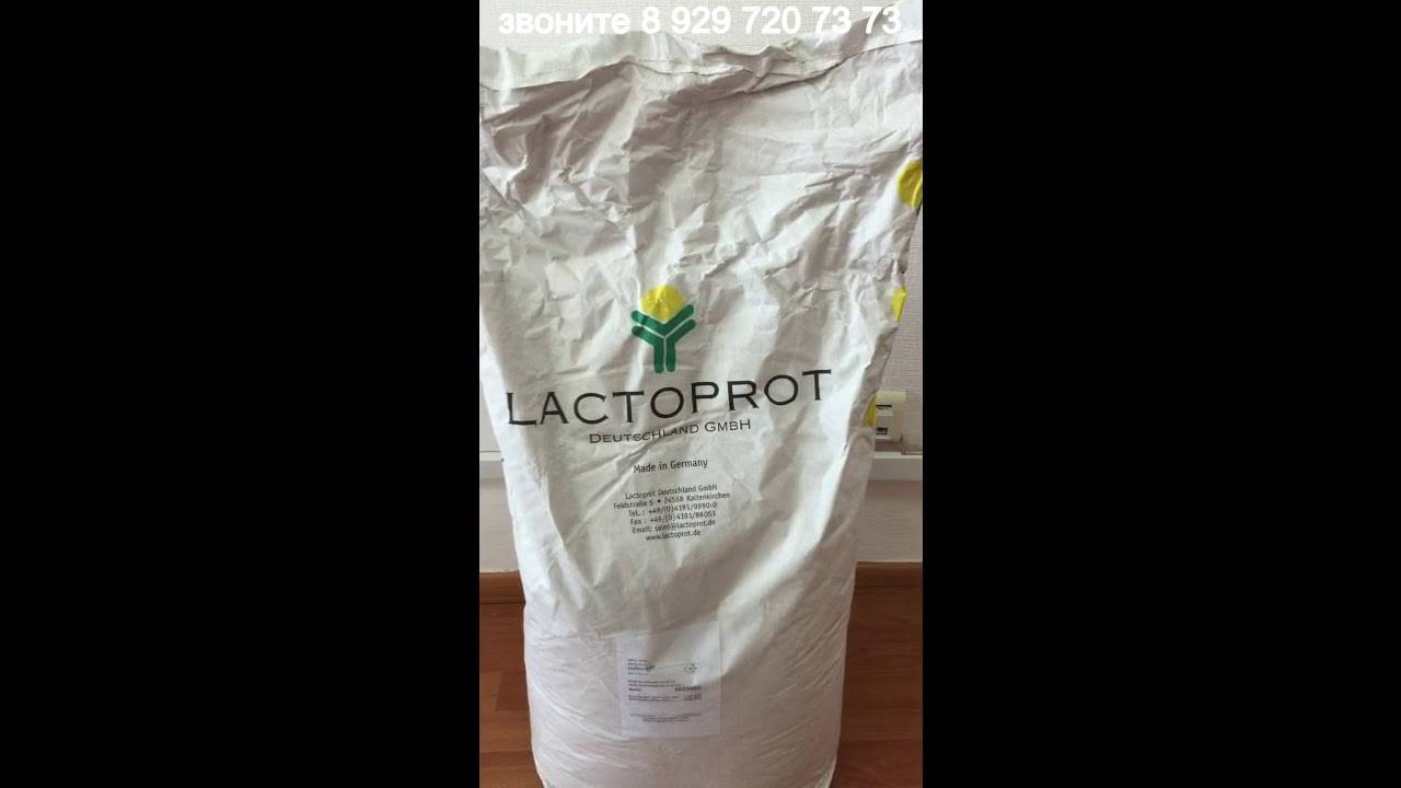 Lactoprot (lactomin 80), как производитель спортивного питания