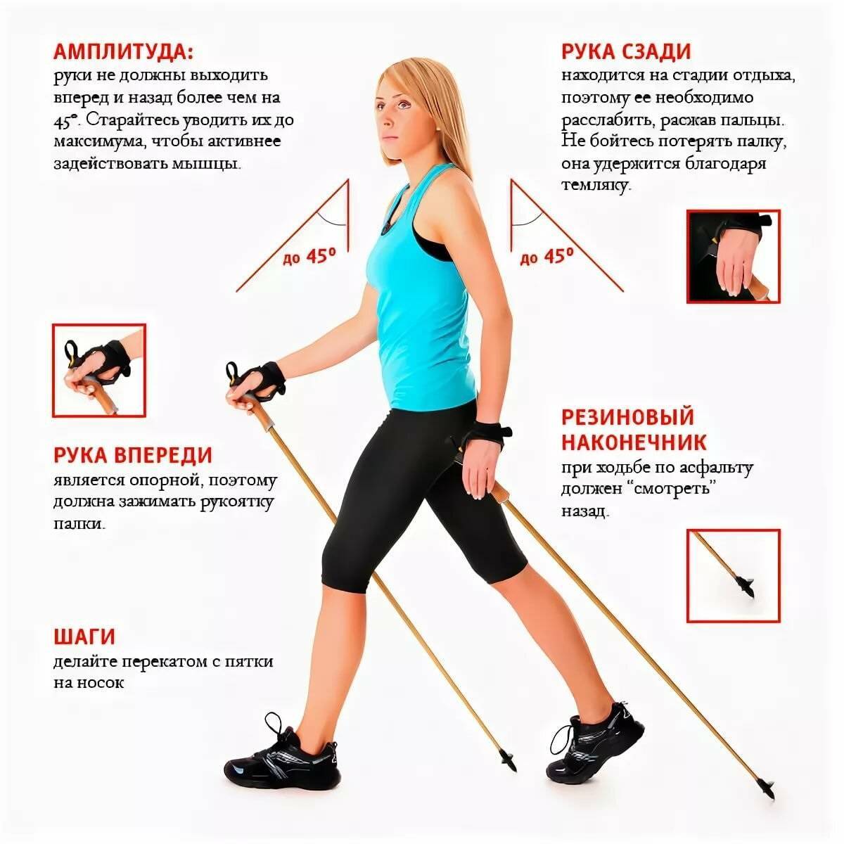 Скандинавская ходьба как один из методов лечебной физкультуры | статья в журнале «молодой ученый»