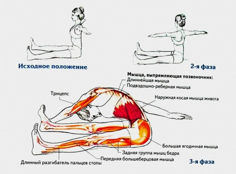 Упражнения на расслабление мышц для двух видов лордоза