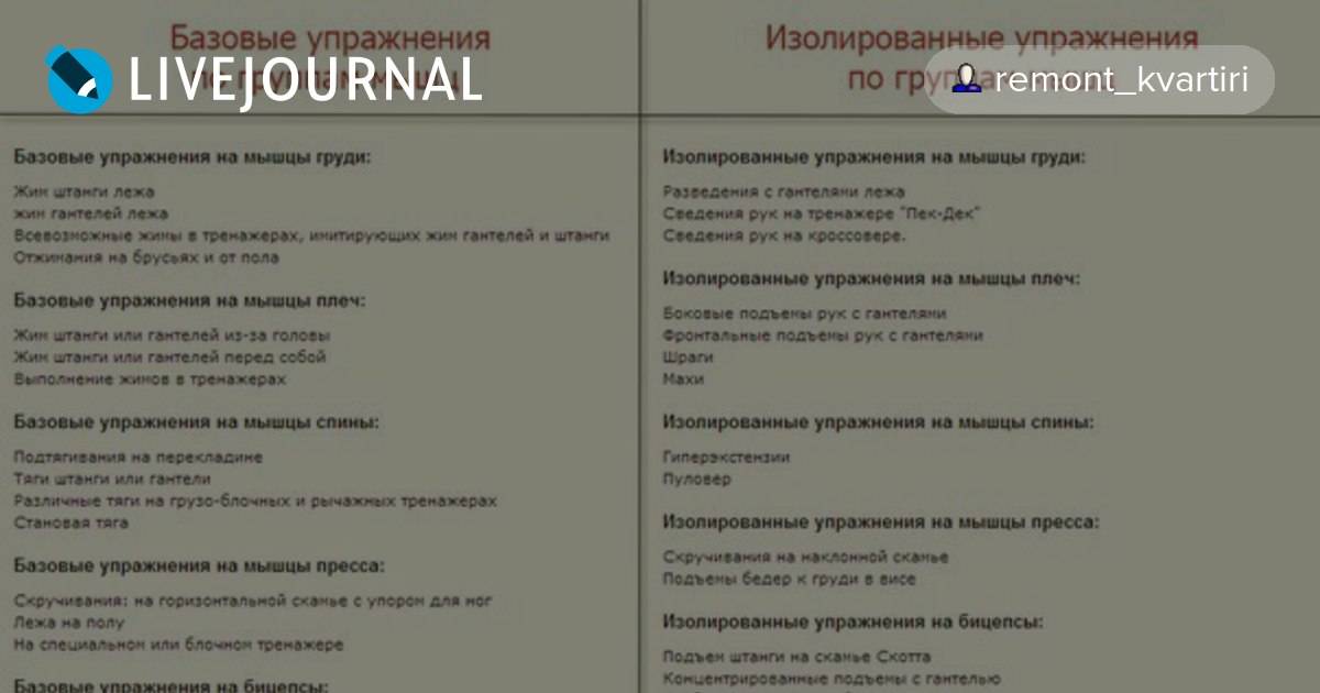 Список базовых и изолированных упражнений, отличия и особенности базовых и изолирующих упражнений - sportobzor.ru