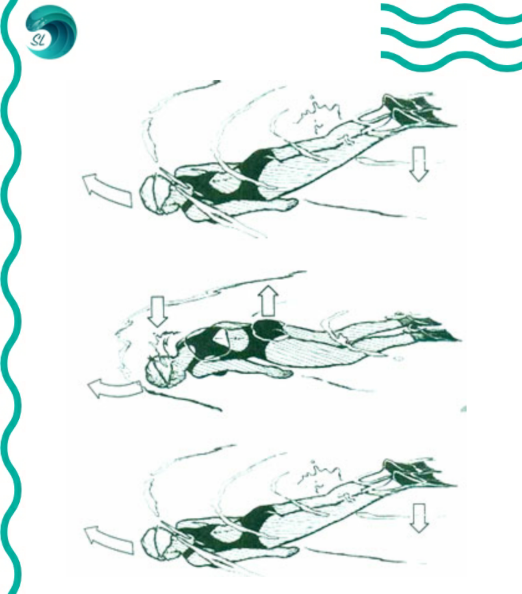 Плавание баттерфляй: техника, как правильно плавать стилем батерфляем