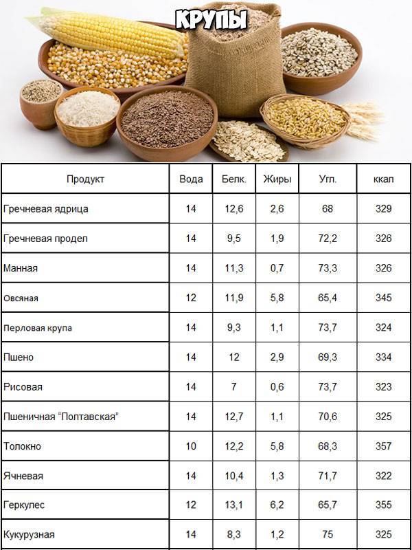 Белковая пища: список продуктов для похудения, таблицы продуктов с содержанием белка