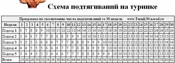Как научиться подтягиваться на турнике за 1 или 2 недели (5-10 дней) - программа тренировок на sportobzor.ru