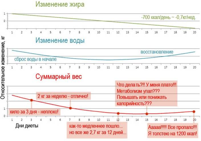 Встал вес при похудении: что делать - владмедицина.ру