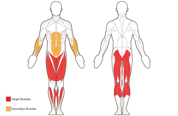 Какие мышцы работают при беге и какие мышцы качаются во время бега