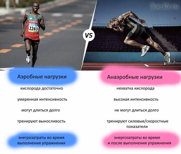 Аэробный и анаэробный бег - особенности и отличие