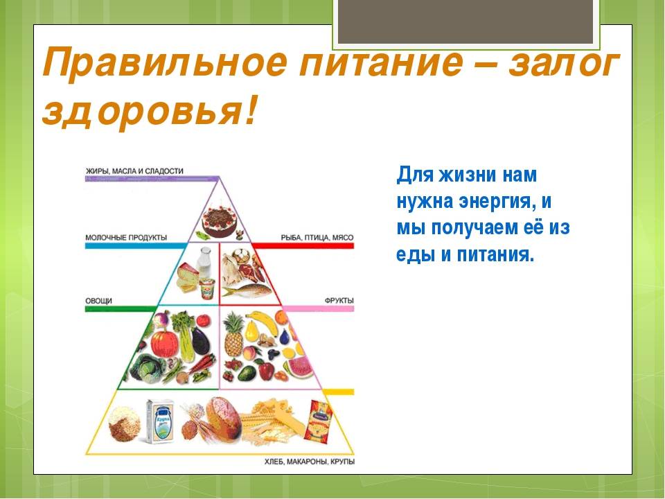 Основные принципы и правила правильного питания | официальный сайт – “славянская клиника похудения и правильного питания”