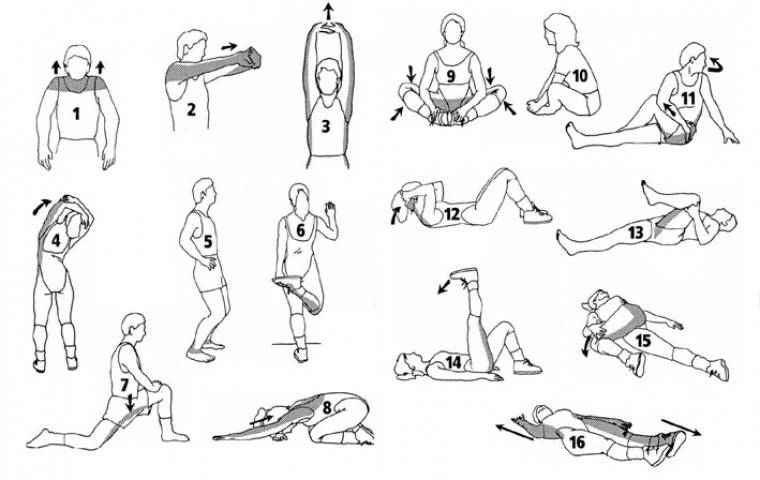 Растяжка после тренировки: зачем нужен стретчинг, основные упражнения