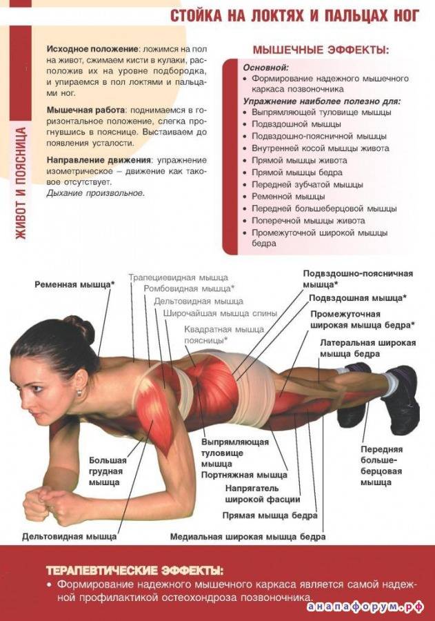 Боковая планка: как правильно делать упражнения, польза и какие мышцы качает планка на боку