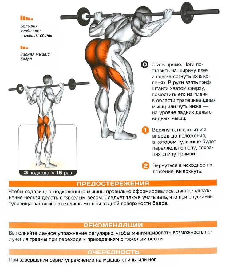 Наклоны со штангой на плечах: описание техники, эффективные упражнения и рекомендации :: syl.ru