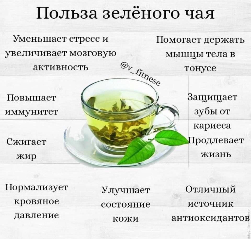 Какой зеленый чай лучше всего подходит для похудения