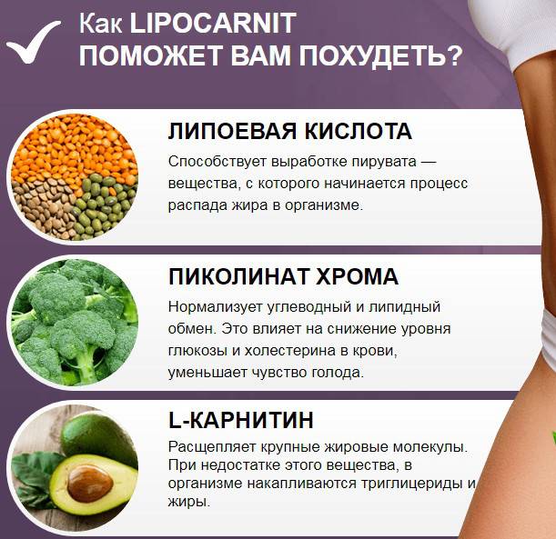 10 мифов и фактов о метаболизме: откуда берется лишний вес и как его убрать? | университетская клиника