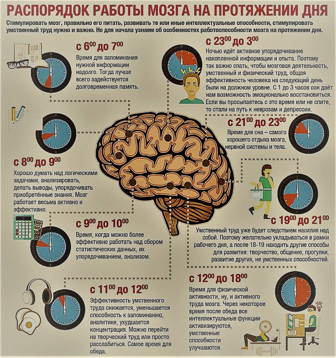Как улучшить память и работу мозга | способы улучшения памяти для взрослого и ребенка