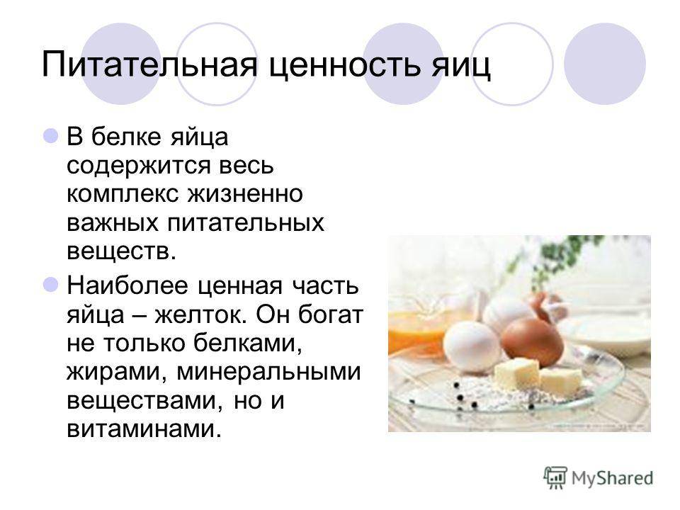 Куриные яйца: польза и вред для организма человека, противопоказания