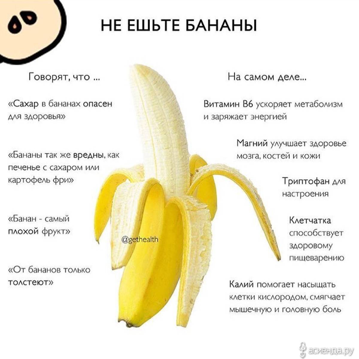 Бананы – незаменимый источник энергии. их польза и вред для организма