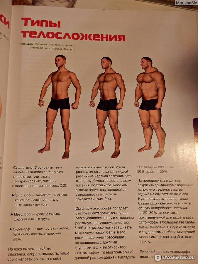 Подполье 27. как накачаться толстяку (эндоморфу) ⋆ сайт камрадов
