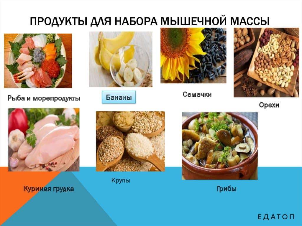 Правильное питание для набора мышечной массы: 7 рекомендаций от экспертов - promusculus.ru
правильное питание для набора мышечной массы: 7 рекомендаций от экспертов - promusculus.ru