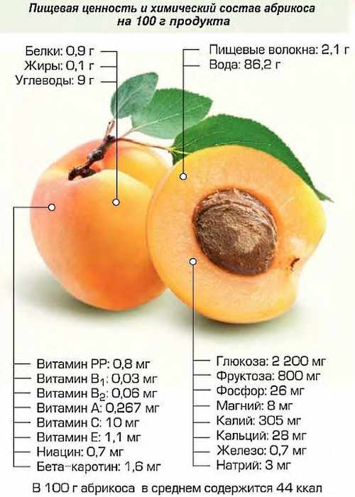 Польза и вред персиков для здоровья, калорийность