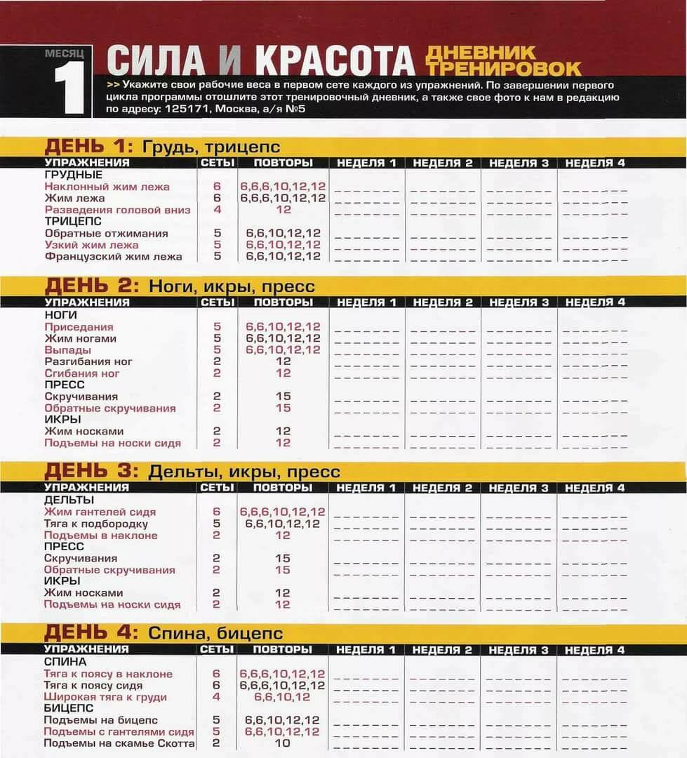 Расписание тренировок в тренажерном зале: лучшие программы тренировок, эффективность, советы и рекомендации - tony.ru