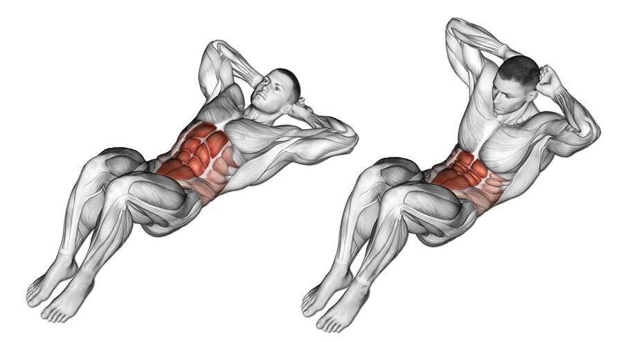 Как накачать пресс ✔ анатомия брюшных мышц и лучшие упражнения